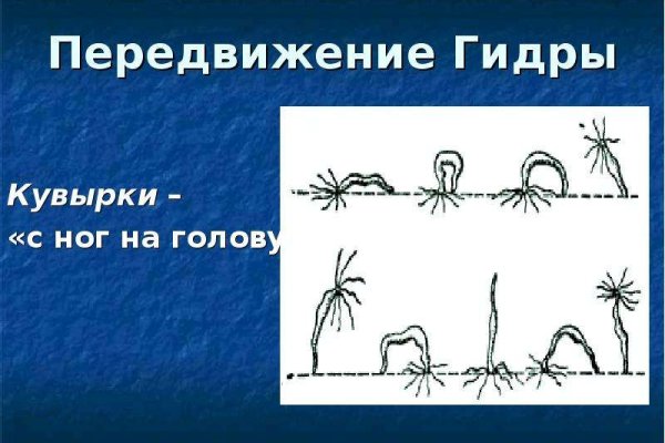 Ссылки зеркала на kraken