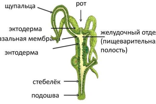 Зайти в кракен