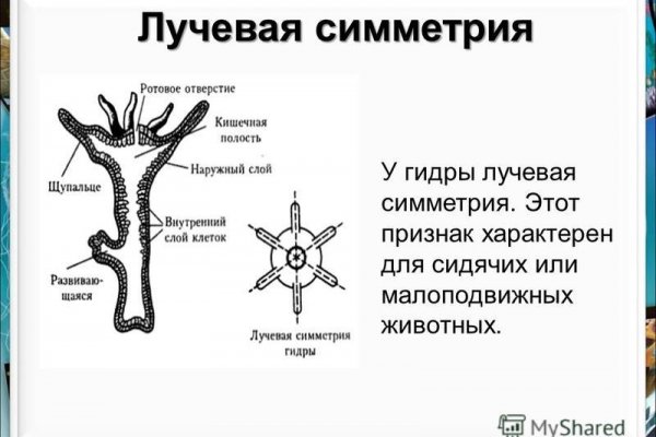 Кракен сайт нарк